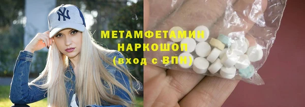 сатива Беломорск