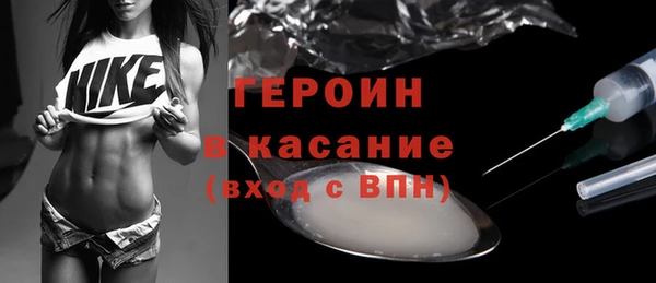 сатива Беломорск
