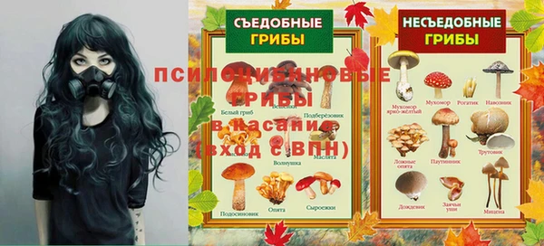 молекула духа Белокуриха