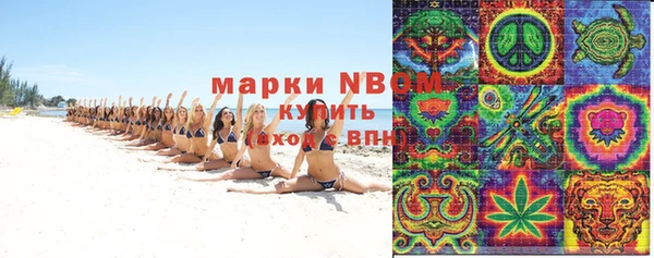 сатива Беломорск
