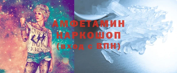 сатива Беломорск