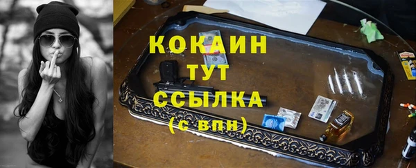 сатива Беломорск