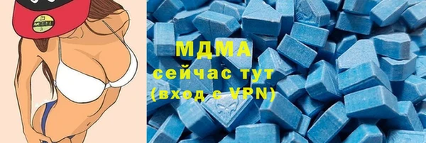 сатива Беломорск
