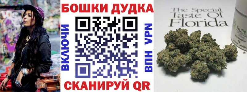 Бошки марихуана планчик  где продают наркотики  Шарья 